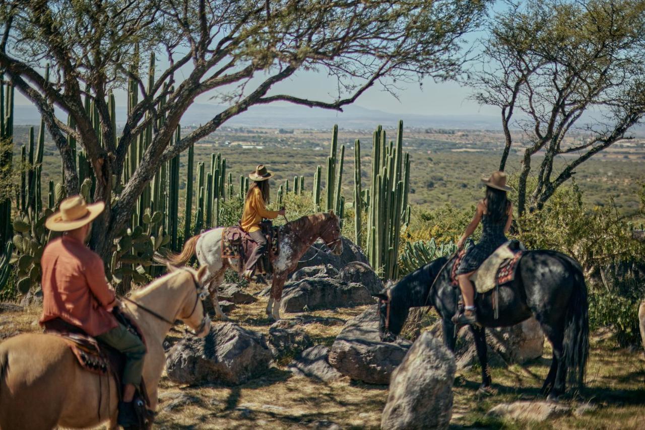 Our Habitas San Miguel De Allende Ngoại thất bức ảnh