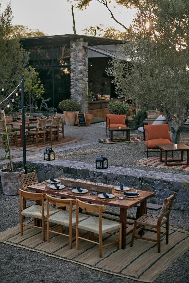 Our Habitas San Miguel De Allende Ngoại thất bức ảnh