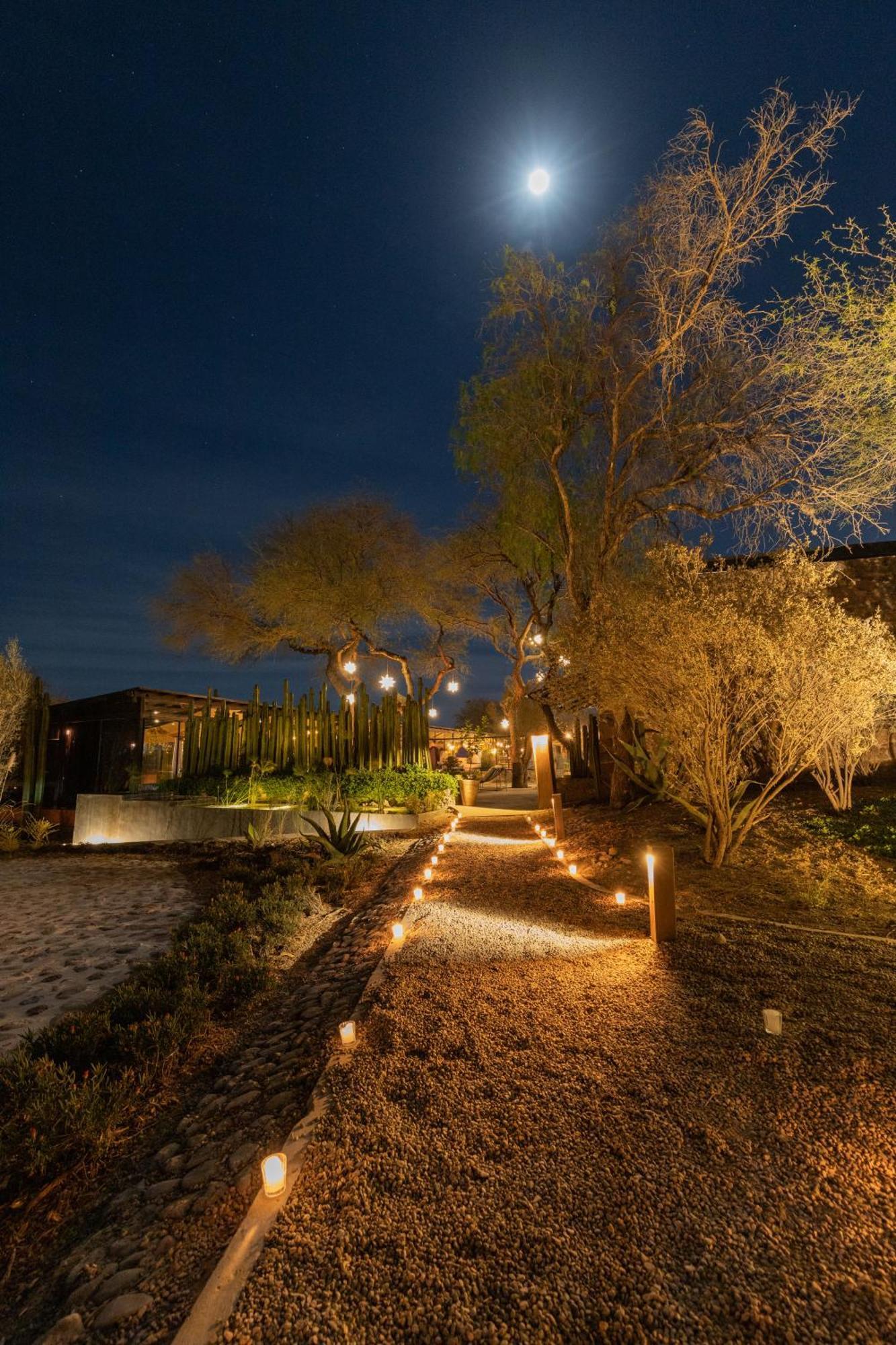 Our Habitas San Miguel De Allende Ngoại thất bức ảnh