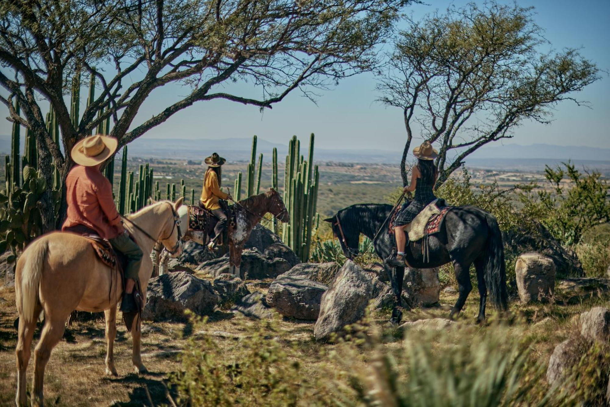 Our Habitas San Miguel De Allende Ngoại thất bức ảnh